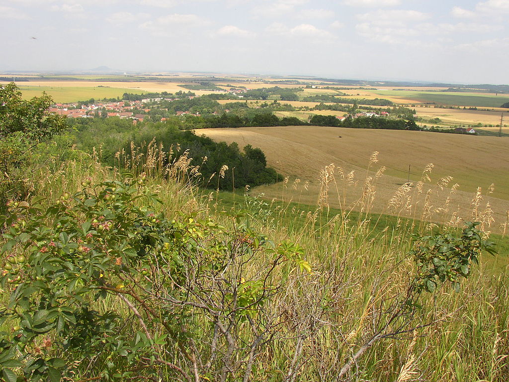 Turská tabule